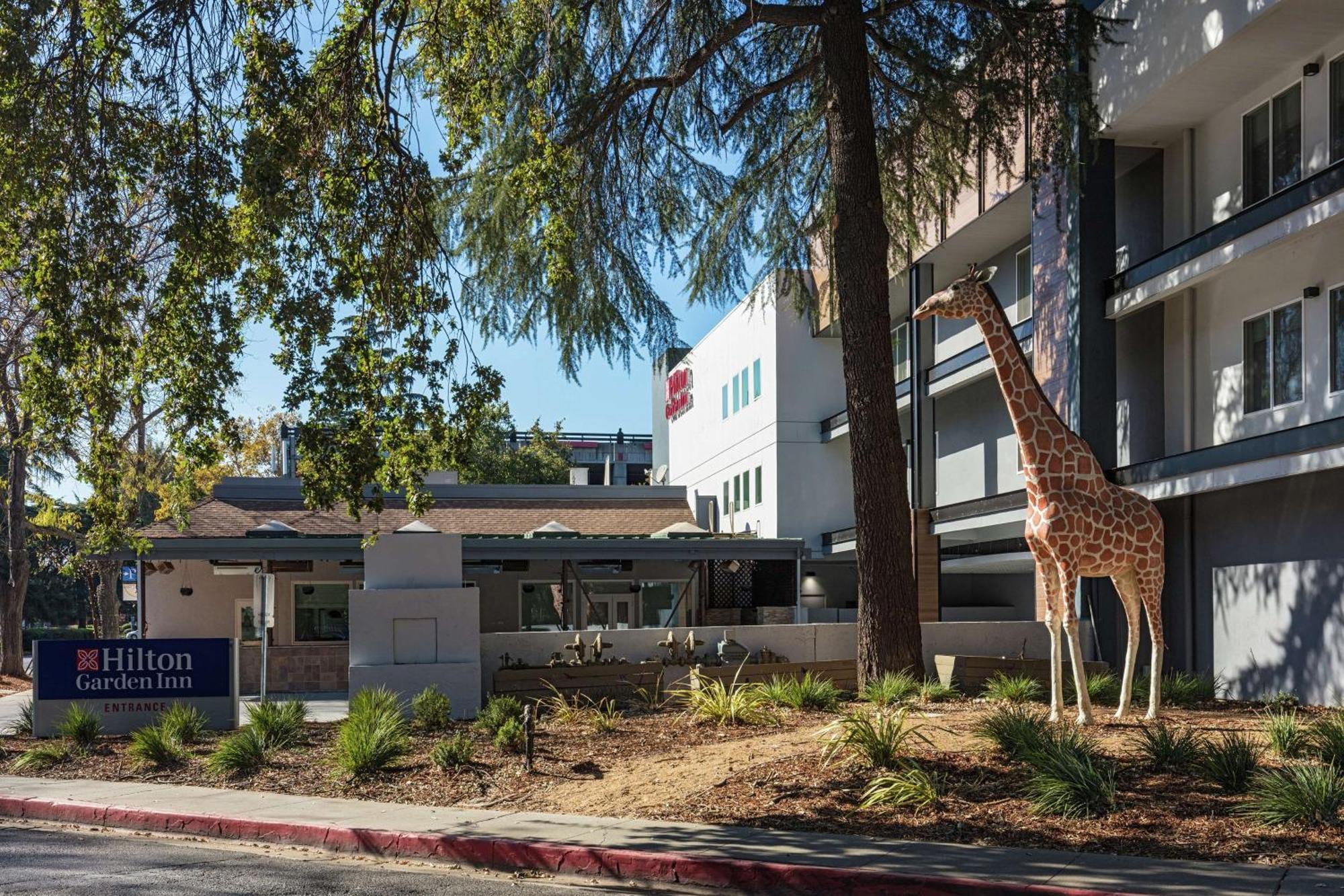 Hilton Garden Inn Davis Downtown מראה חיצוני תמונה